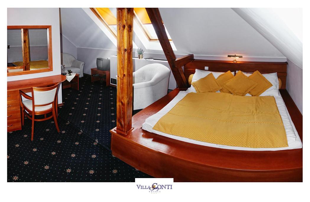 Hotel Villa Conti Písek エクステリア 写真